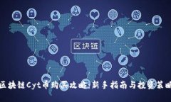 区块链Cyt币购买攻略：新