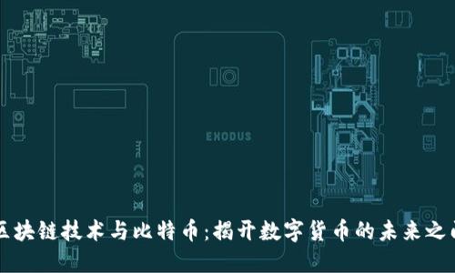 区块链技术与比特币：揭开数字货币的未来之门