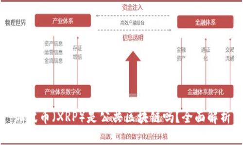 瑞波币（XRP）是公共区块链吗？全面解析