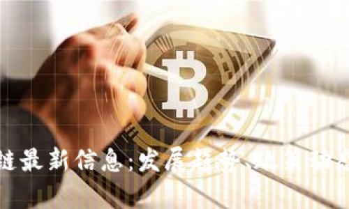 俄罗斯区块链最新信息：发展趋势、政策动态与市场前景