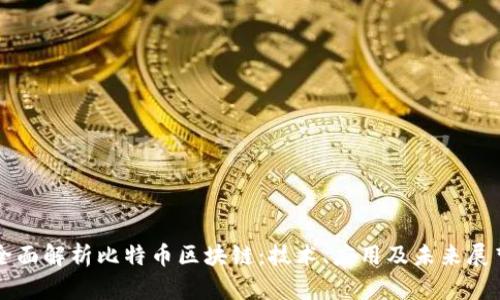 全面解析比特币区块链：技术、应用及未来展望