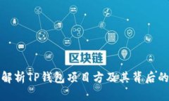 深入解析TP钱包项目方及其