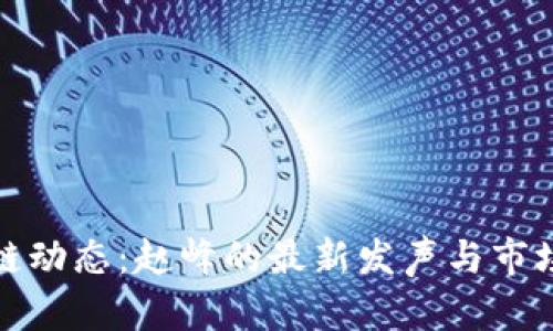 最新区块链动态：赵峰的最新发声与市场趋势分析