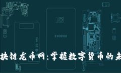 区块链龙币网：掌握数字