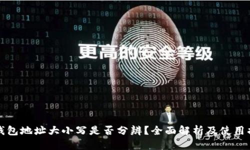 TP钱包地址大小写是否分辨？全面解析及使用指南