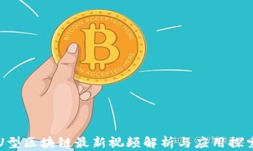
U型区块链最新视频解析与应用探索