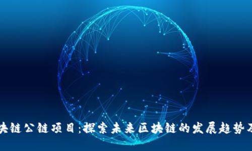 最新区块链公链项目：探索未来区块链的发展趋势及其应用